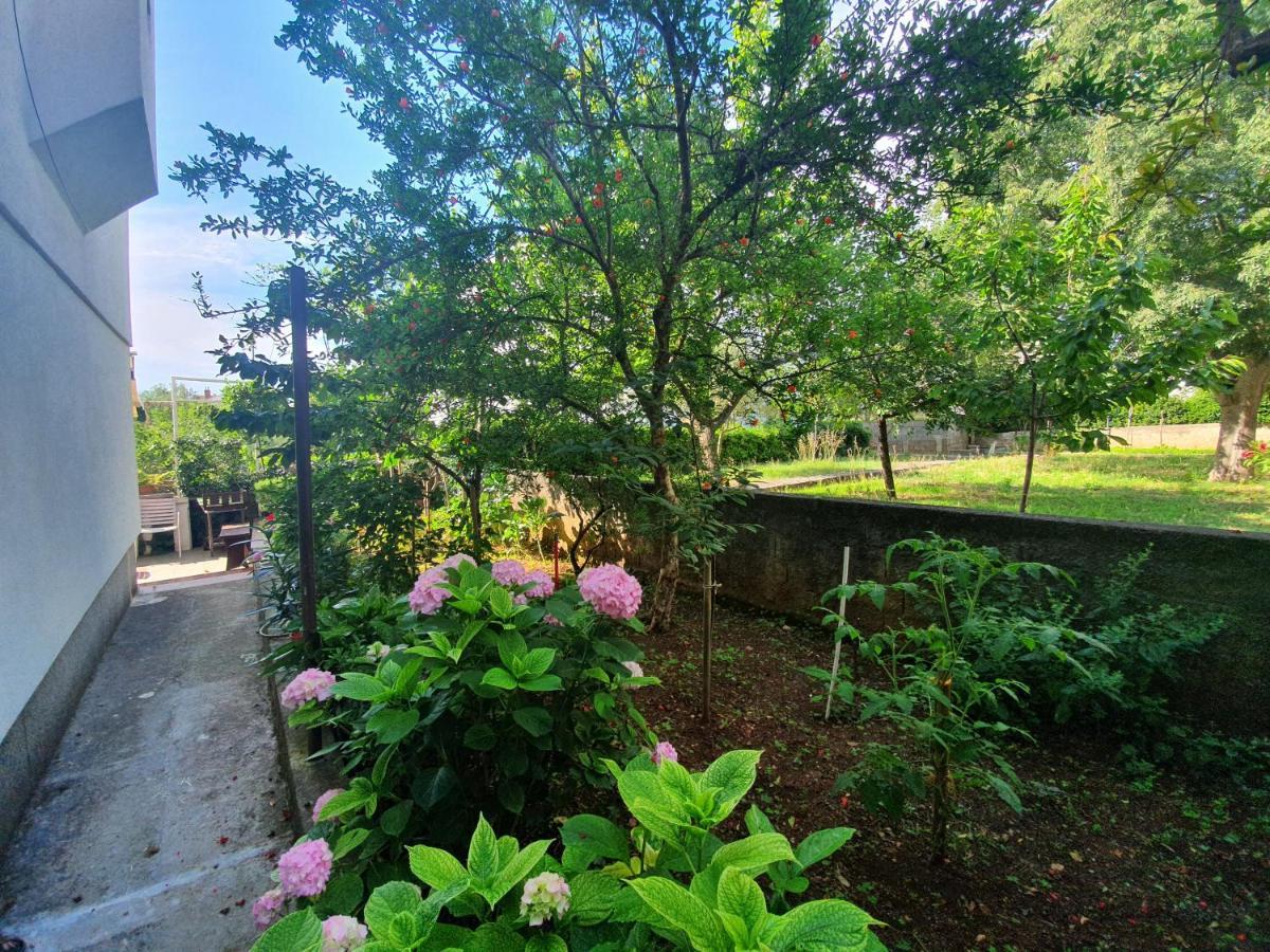 Peaceful Apartment 30 Meters From Sea ザダル エクステリア 写真